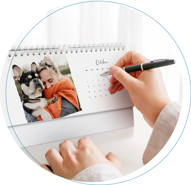 Zoom sur l’actualité hypothécaire